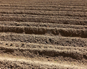 farm progress photo